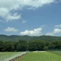 画像295