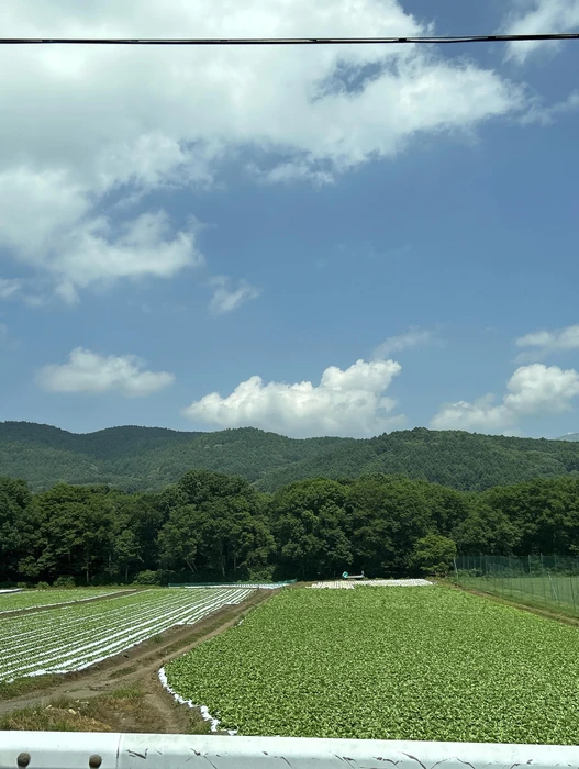 画像295